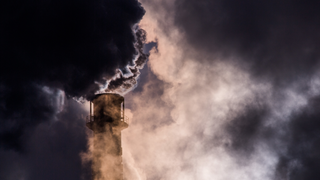 We’re Just 140 Years Away from the Climate That Caused a Planet-Wide Extinction